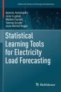 Statistical Learning Tools For Electricity Load Forecasting - Preview