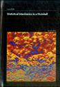 Statistical Mechanics In A Nutshell, Second Edition - Preview