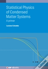 Statistical Physics Of Condensed Matter Systems