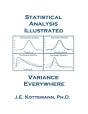 Statistics & Statistical Analysis Illustrated - Preview