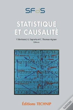 Capa do artigo Statistique Et Causalité
