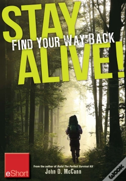 Capa do artigo Stay Alive - Find Your Way Back Eshort
