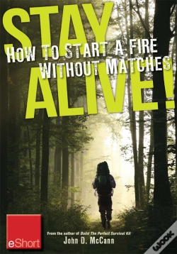 Capa do artigo Stay Alive - How To Start A Fire Without Matches Eshort
