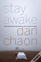 Capa do artigo Stay Awake