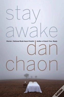 Capa do artigo Stay Awake