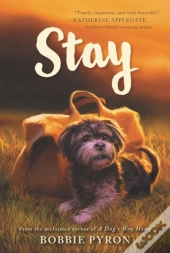Stay