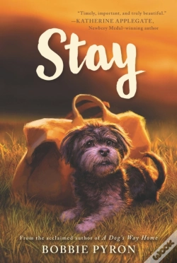 Capa do artigo Stay