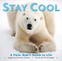 Stay Cool - Preview