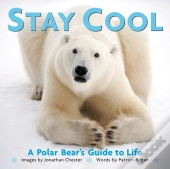 Stay Cool