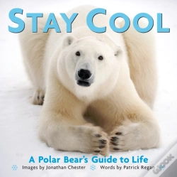 Capa do artigo Stay Cool