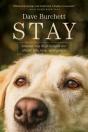 Stay - Preview