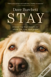 Capa do artigo Stay