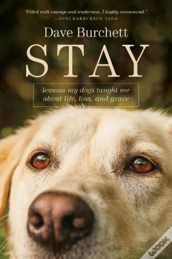 Capa do artigo Stay