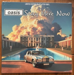 Capa do artigo Stay Here Now - Vinil