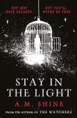 Stay In The Light