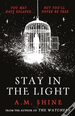 Capa do artigo Stay In The Light