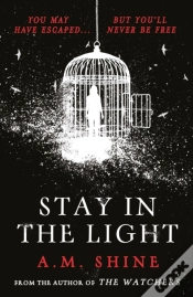 Capa do artigo Stay In The Light