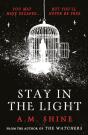 Stay In The Light - Preview