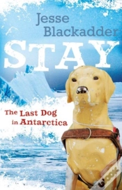 Capa do artigo Stay