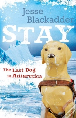 Capa do artigo Stay