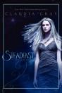 Steadfast - Preview