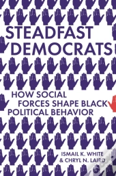 Steadfast Democrats