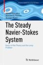 Steady Navier-Stokes System - Preview