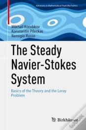 Capa do artigo Steady Navier-Stokes System
