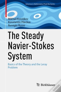 Capa do artigo Steady Navier-Stokes System