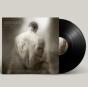 Steal the Light - Vinil - Preview