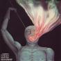 Stealing Fire - CD - Preview