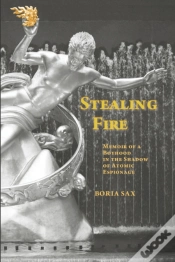 Capa do artigo Stealing Fire