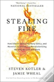 Capa do artigo Stealing Fire
