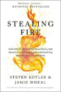 Stealing Fire - Preview