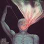 Stealing Fire - Vinil - Preview