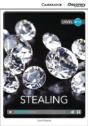 Stealing High Beginning Book With Online Access - Preview