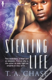 Stealing Life