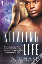 Capa do artigo Stealing Life