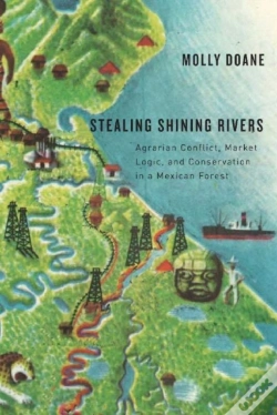 Capa do artigo Stealing Shining Rivers