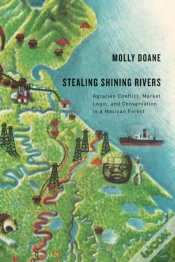 Capa do artigo Stealing Shining Rivers