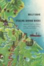 Stealing Shining Rivers - Preview