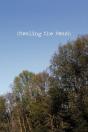 Stealing The Peach - Preview