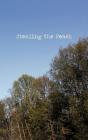 Stealing The Peach - Preview