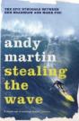 Stealing The Wave - Preview