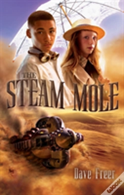 Capa do artigo Steam Mole