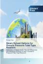 Steam Reheat Options For Generic Pressure-Tube Type Reactors - Preview