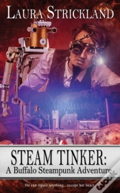 Capa do artigo Steam Tinker