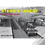 Capa do artigo Steam