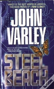 Capa do artigo Steel Beach