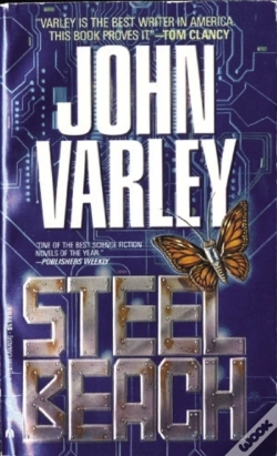 Capa do artigo Steel Beach